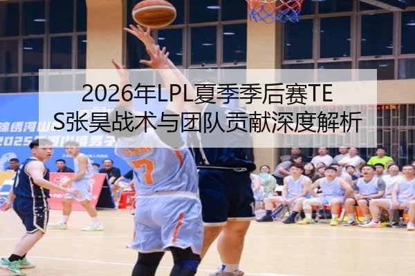 2026年LPL夏季季后赛TES张昊战术与团队贡献深度解析
