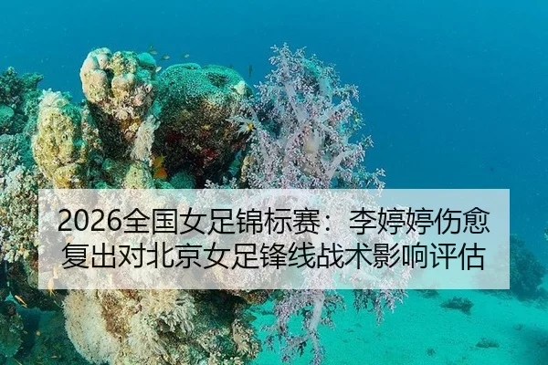 2026全国女足锦标赛：李婷婷伤愈复出对北京女足锋线战术影响评估